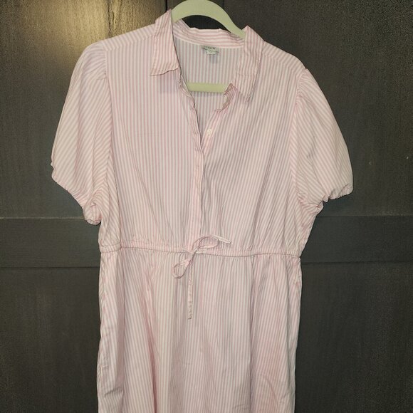 Women's XL Dress - Picture 1 of 7